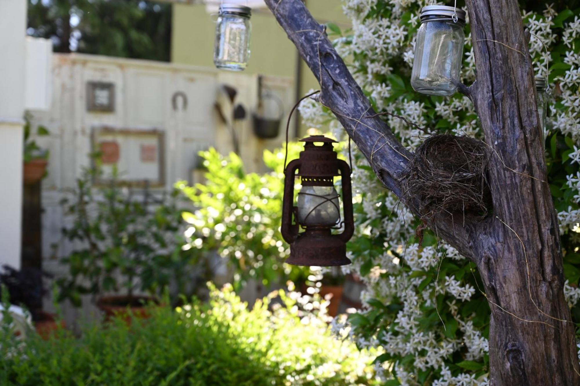 La Garampa Bed and Breakfast Cesena Eksteriør billede